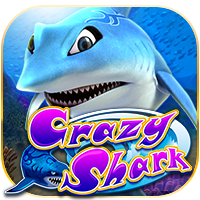 Crazy Shark