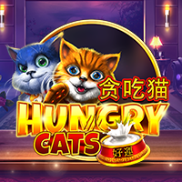 Hungry Cats