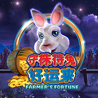 Farmer's Fortune