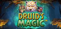 Druid's Magic