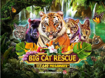 Big Cat Rescue Megaways