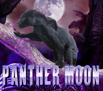 Panther Moon