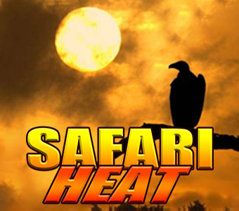 Safari Heat