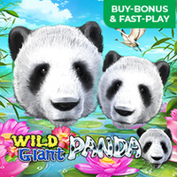 Wild Giant Panda