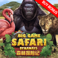 Big Game Safari