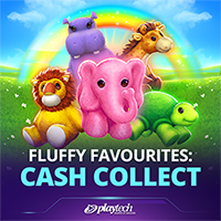 Fluffy Favourites: Cash Collect™