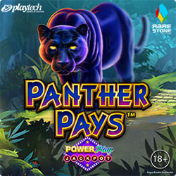 Panther Pays Power Play Jackpot